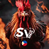 566bet Game 09