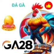 566bet Game 06